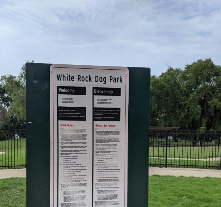 Soccer Field image 3