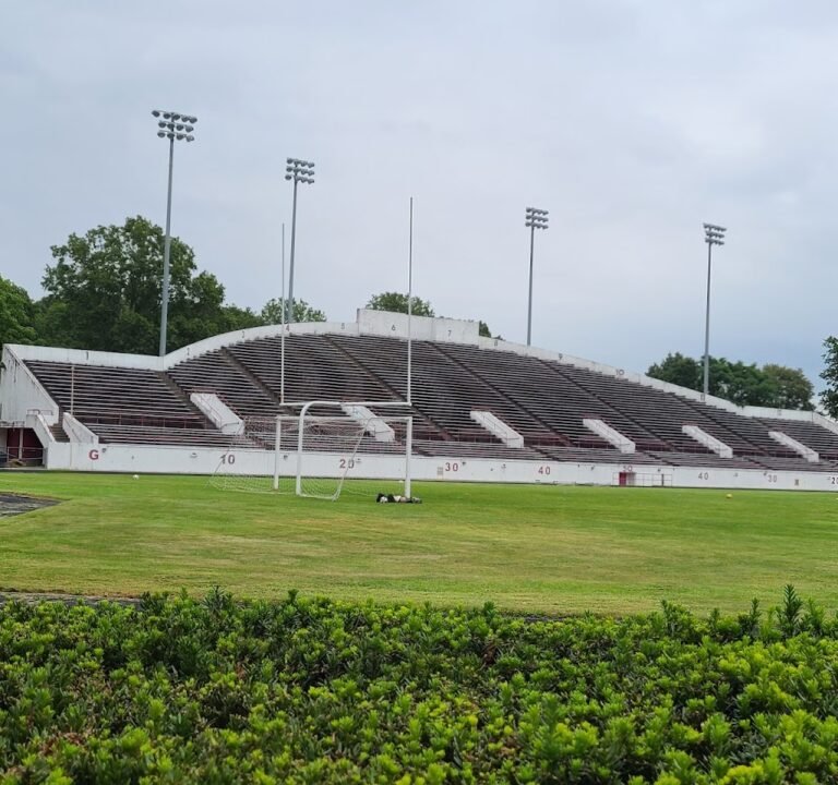 Soccer Field image 2