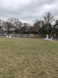 Soccer Field image 1