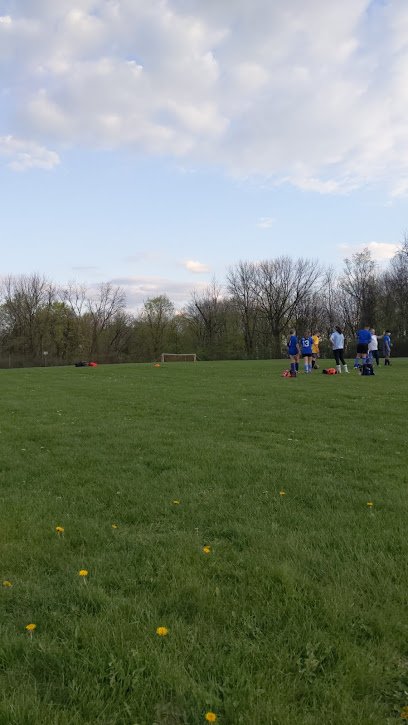 Soccer Field image 1