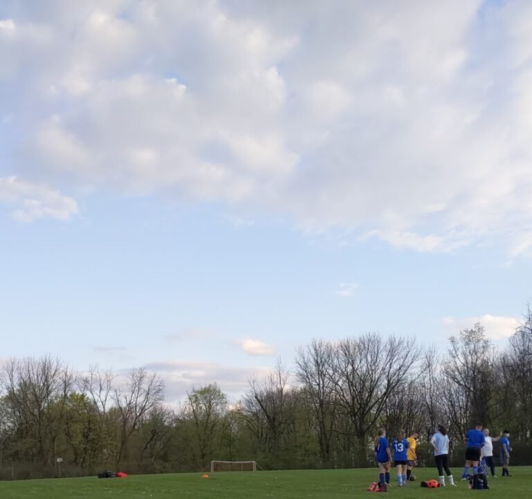 Soccer Field image 2