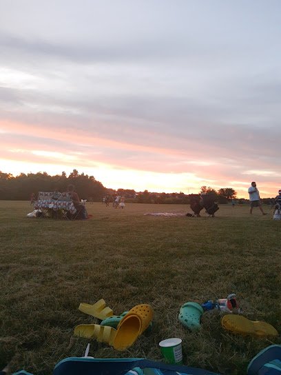 Soccer Field image 1