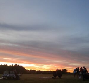 Soccer Field image 3