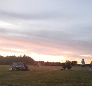 Soccer Field image 2