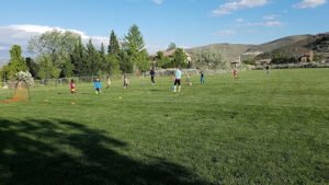Soccer Field image 1