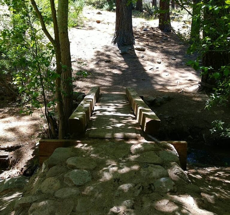 Soccer Field image 2