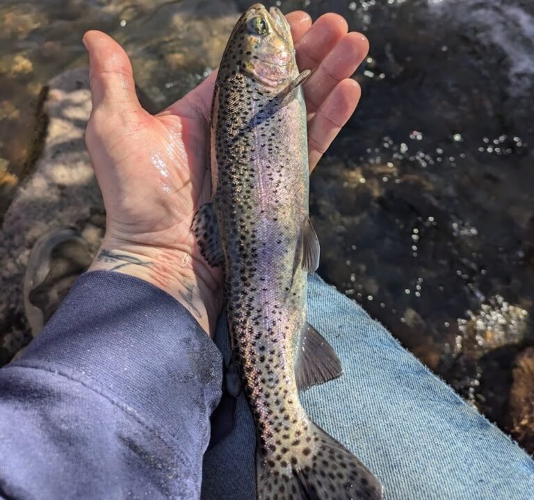 Soccer Field image 3