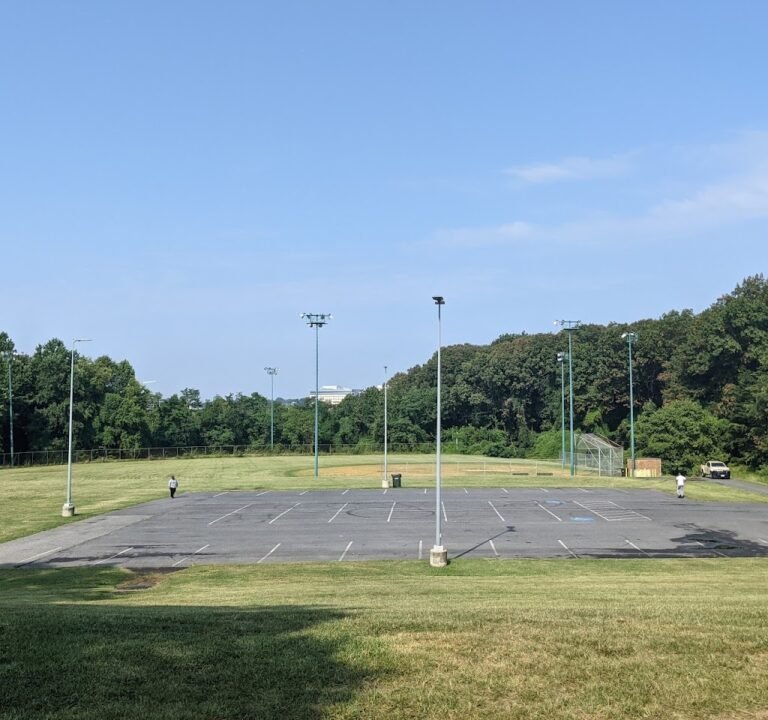 Soccer Field image 2