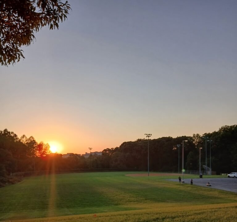 Soccer Field image 3