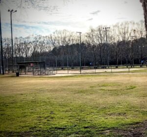 Soccer Field image 2