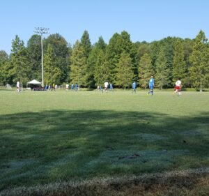 Soccer Field image 3