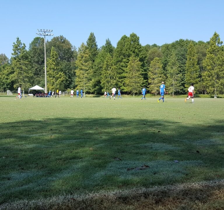 Soccer Field image 3