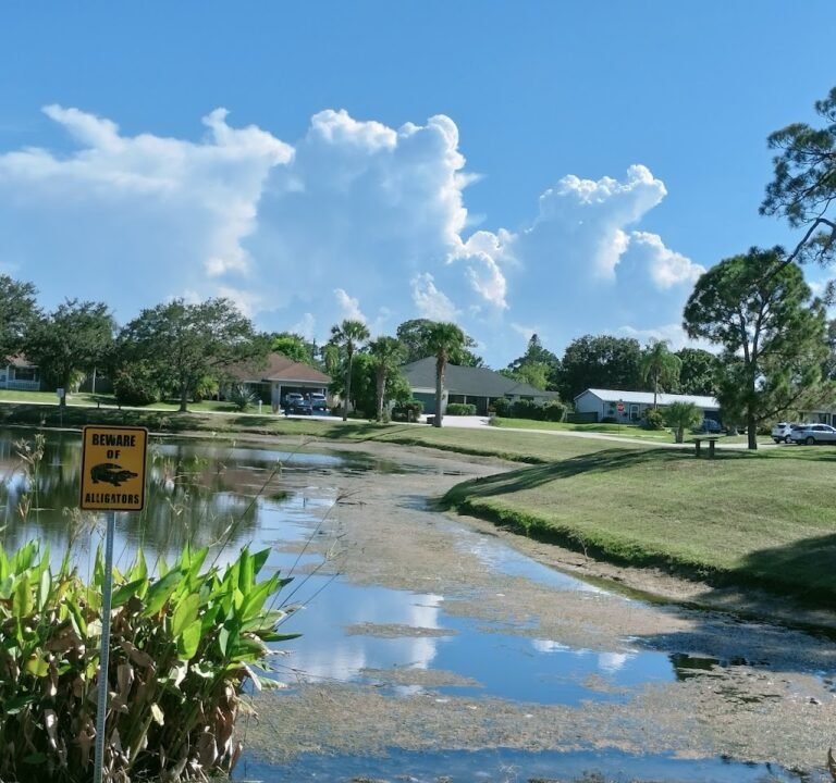 Soccer Field image 2