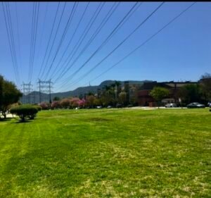 Soccer Field image 2