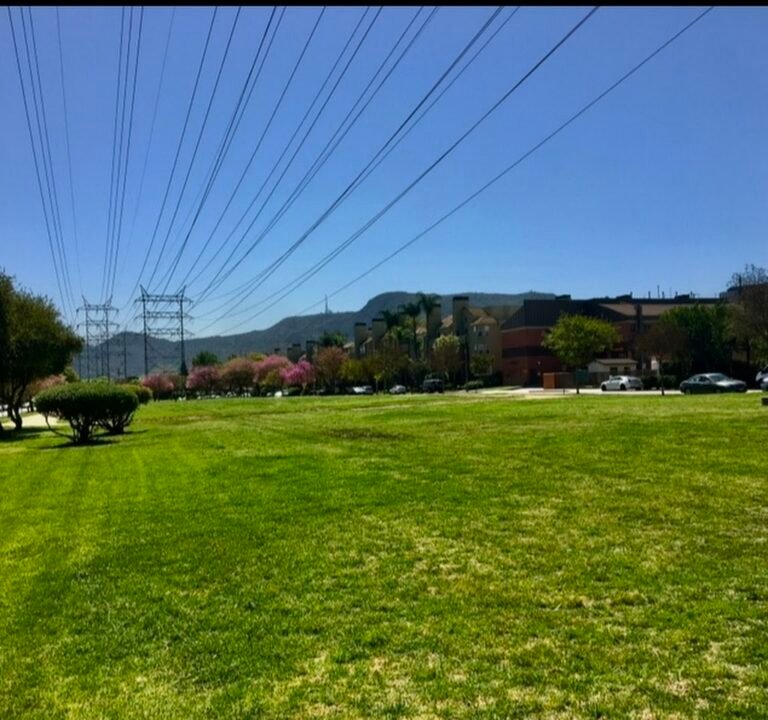 Soccer Field image 2
