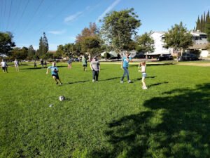 Soccer Field image 1