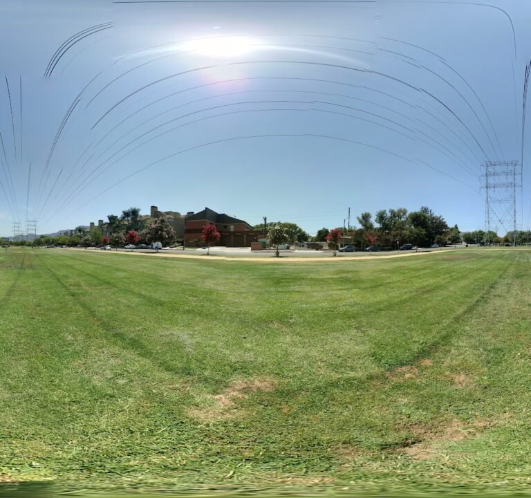 Soccer Field image 3