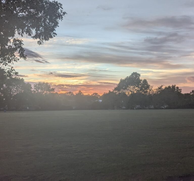 Soccer Field image 3
