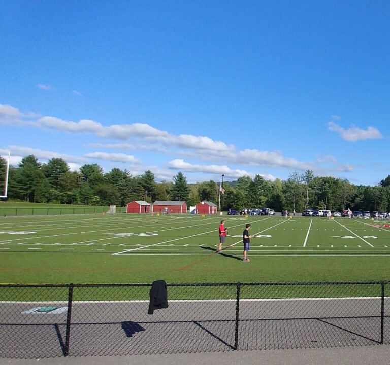 Soccer Field image 2