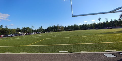 Soccer Field image 1