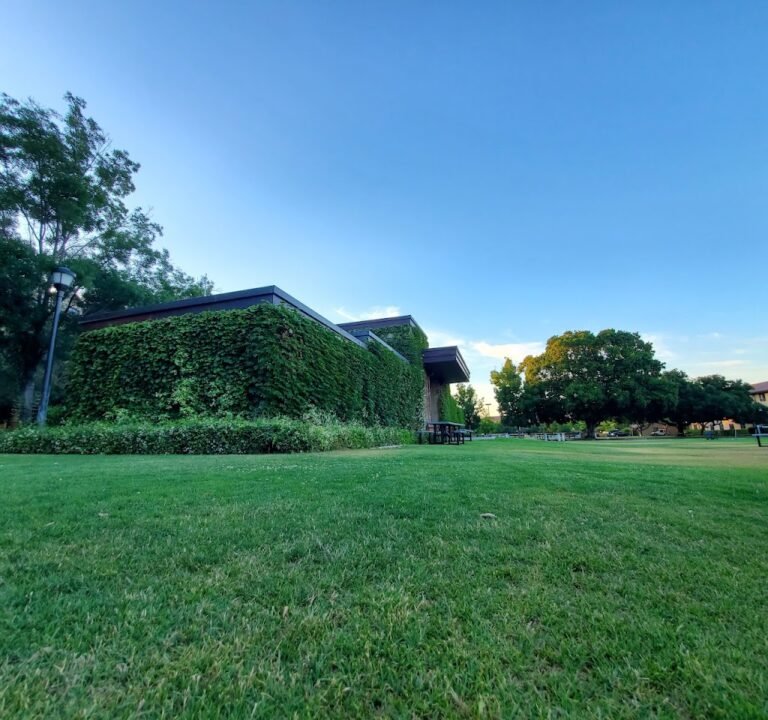 Soccer Field image 2