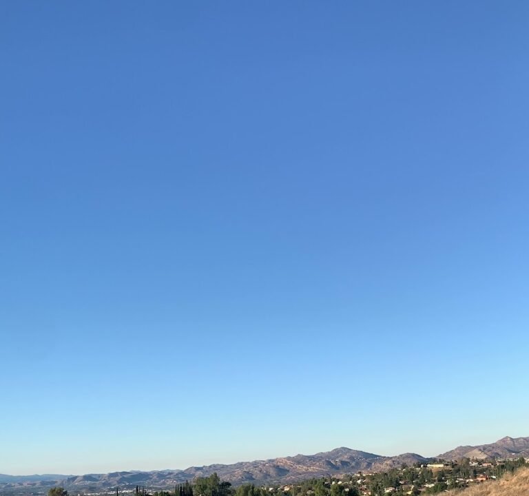 Soccer Field image 4