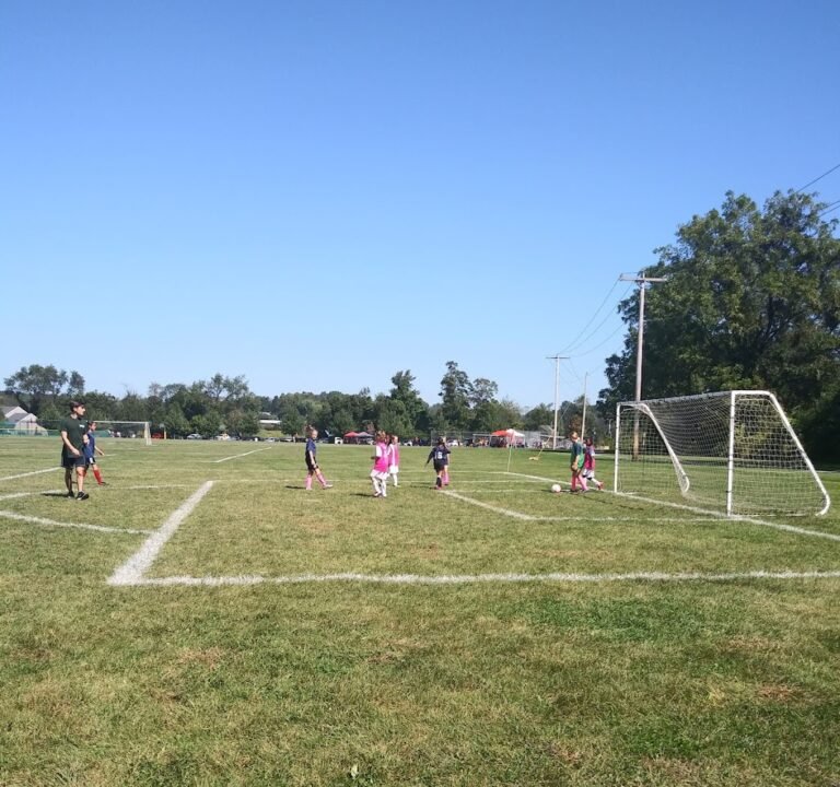 Soccer Field image 2