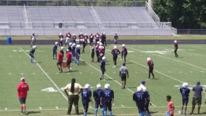 Soccer Field image 1