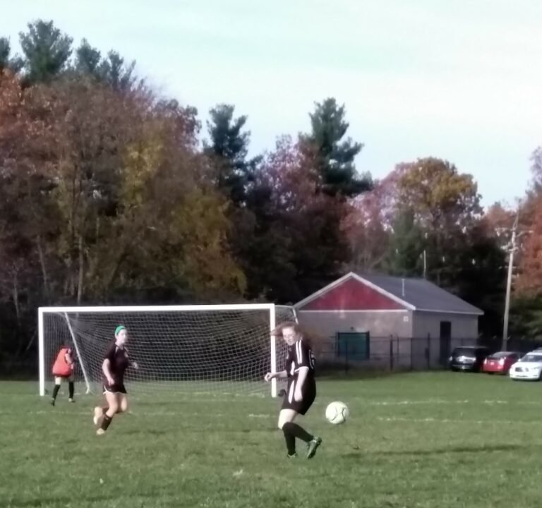 Soccer Field image 3