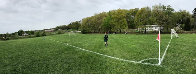 Soccer Field image 1