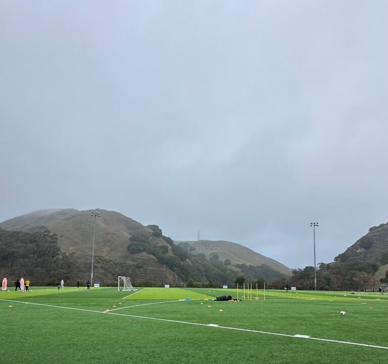 Soccer Field image 2