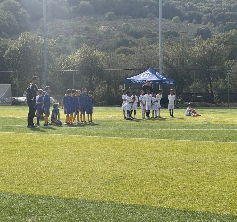 Soccer Field image 3