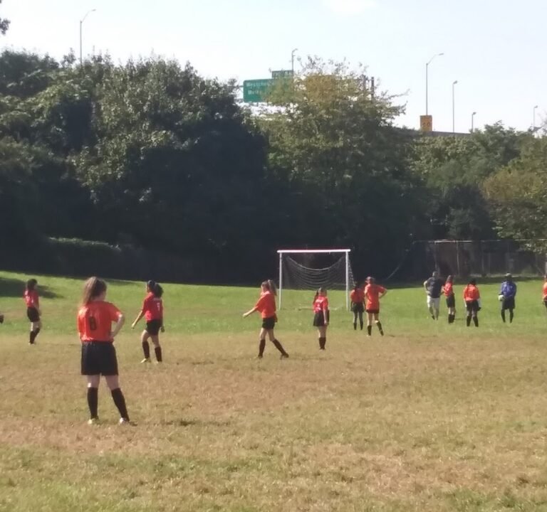 Soccer Field image 2