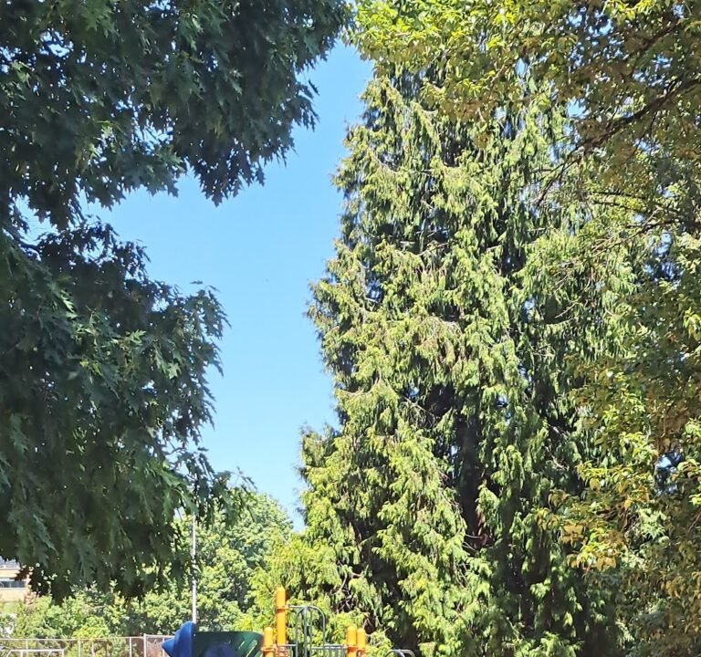 Soccer Field image 2