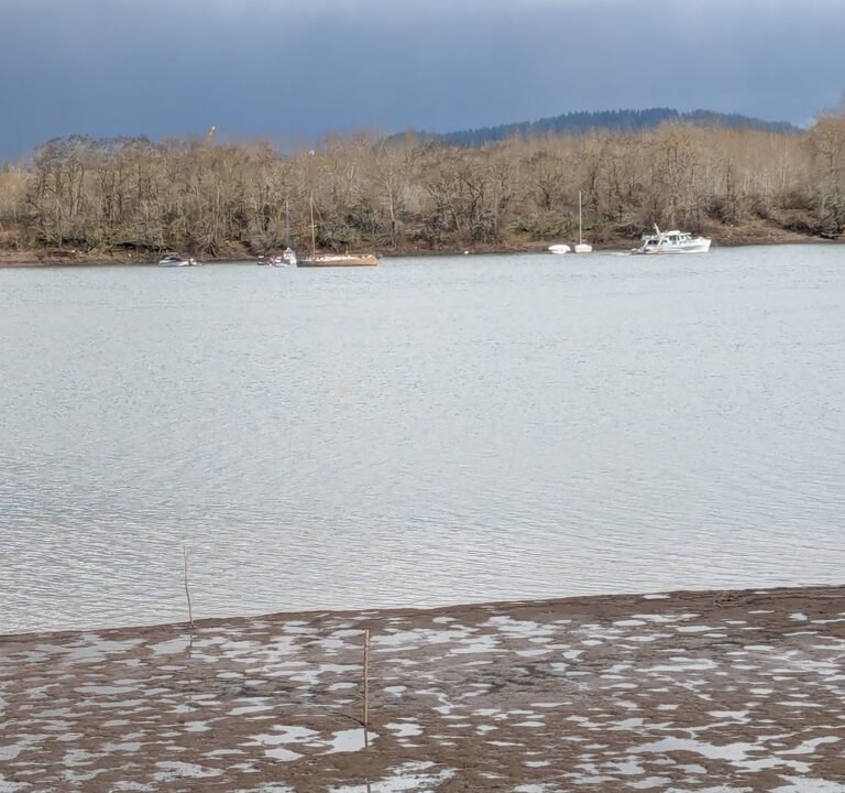 Soccer Field image 3