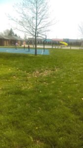 Soccer Field image 1