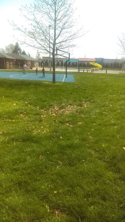 Soccer Field image 1