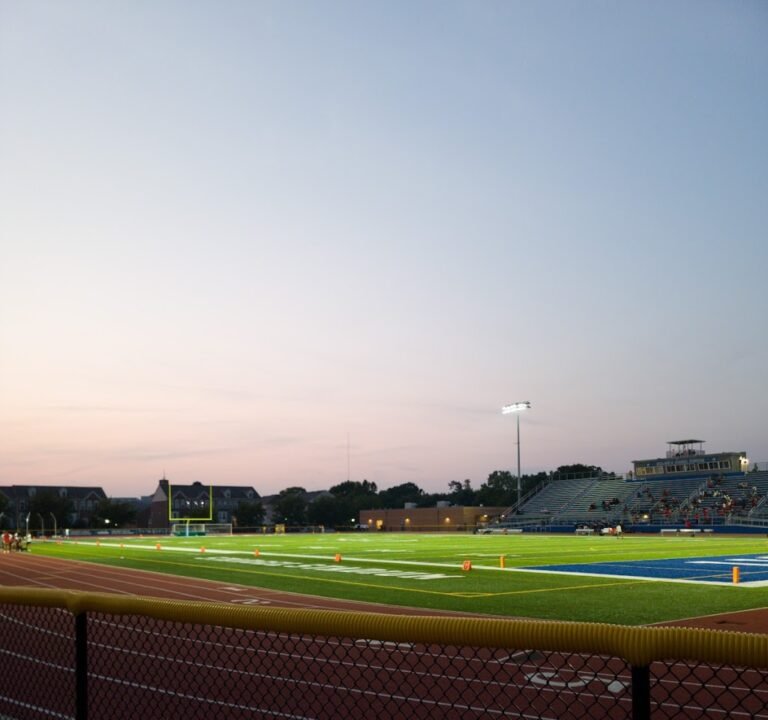 Soccer Field image 3