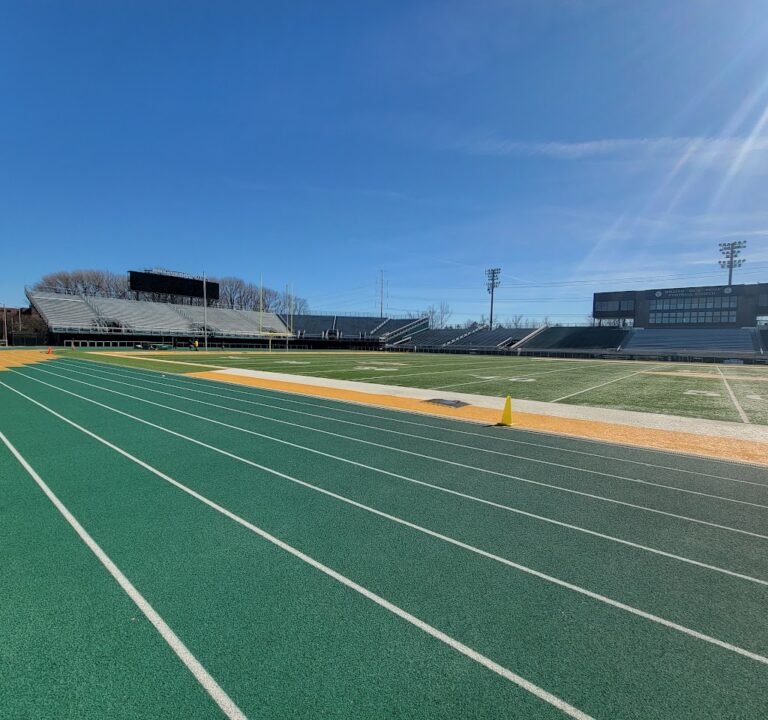 Soccer Field image 2