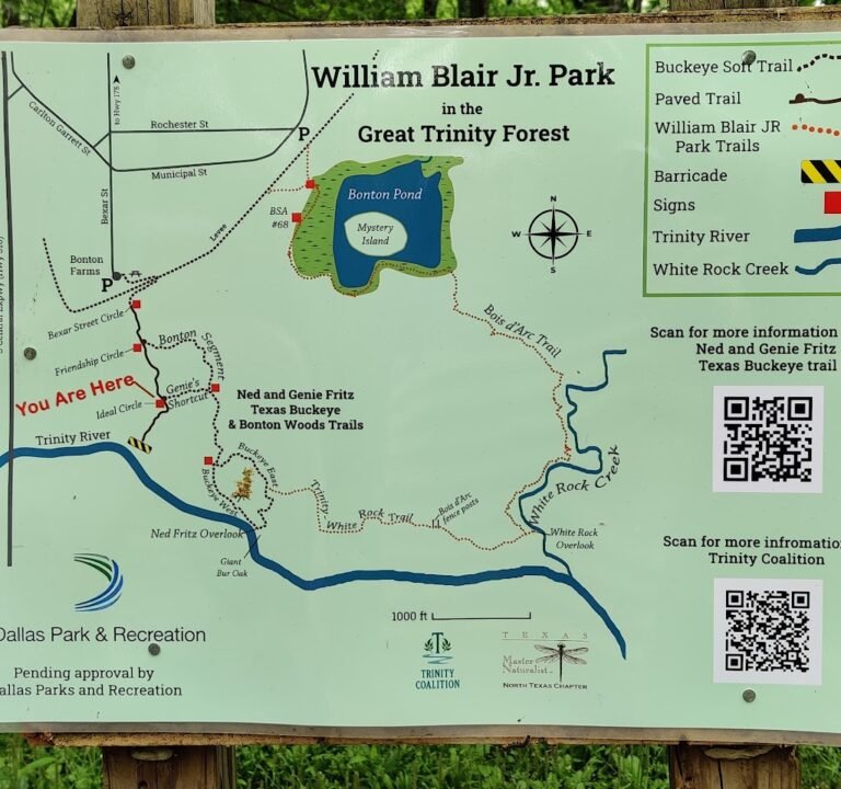 Soccer Field image 2