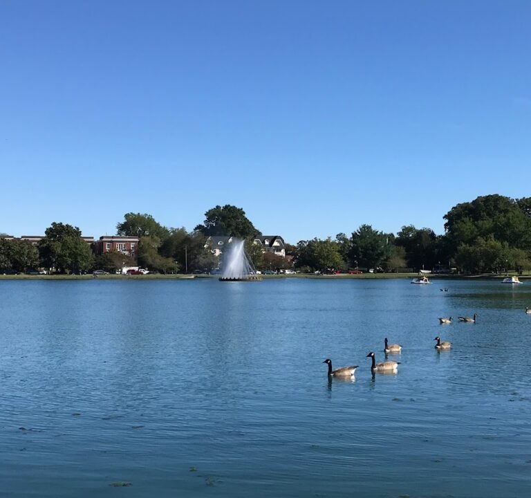 Soccer Field image 2