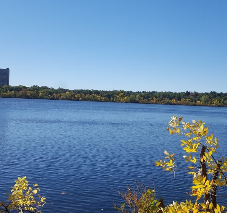 Soccer Field image 3