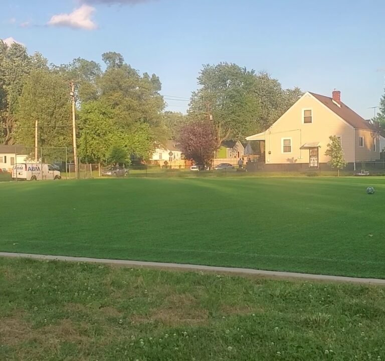 Soccer Field image 4