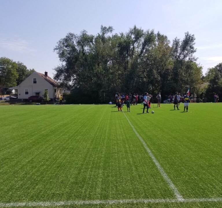 Soccer Field image 2