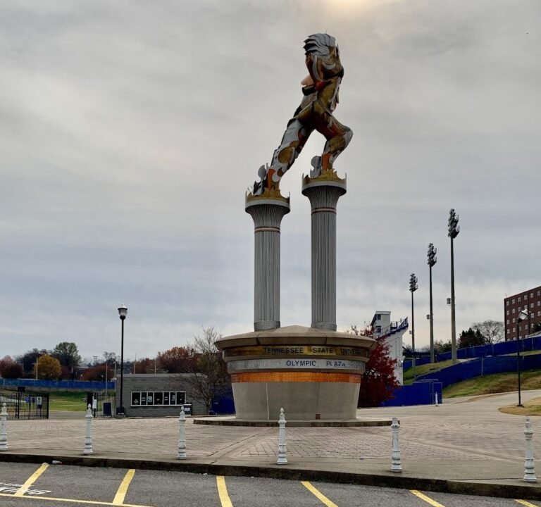 Soccer Field image 2