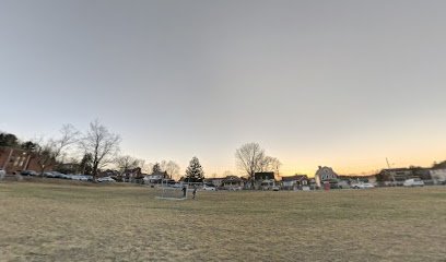 Soccer Field image 1