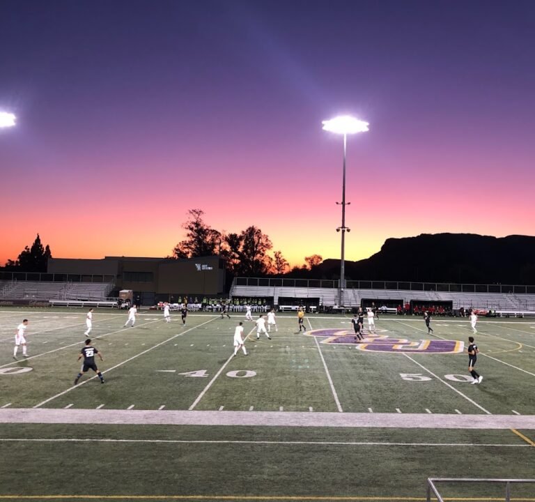 Soccer Field image 2