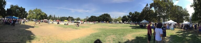 Soccer Field Featured Image