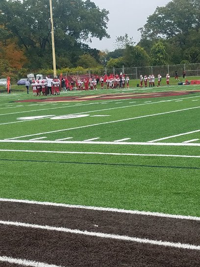 Soccer Field image 1