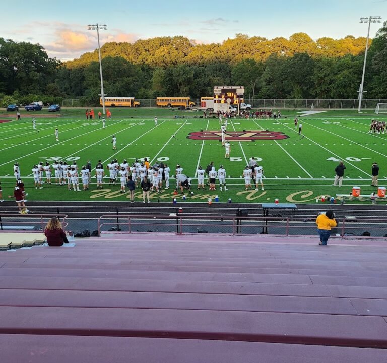 Soccer Field image 2